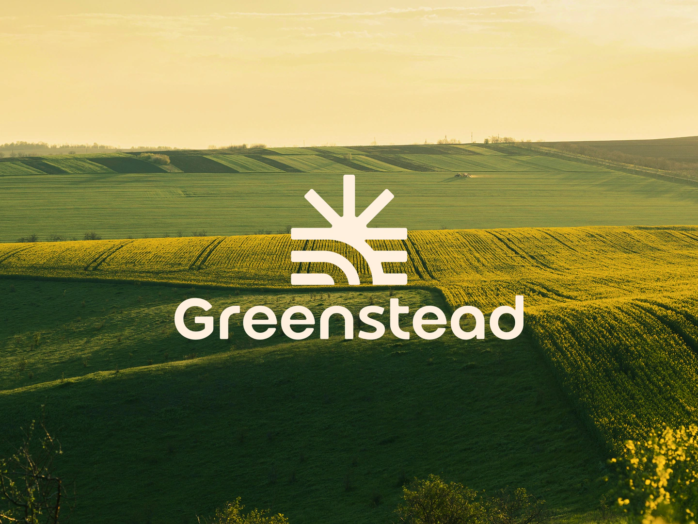 Greenstead brand identity